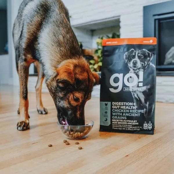 Go! Solutions Digestion + Gut Health Dry Dog Food - Chicken Recipe with Ancient Grains for Sensitive Stomach & Digestive Support | Perfect for Adult Dogs with Food Allergies or IBS