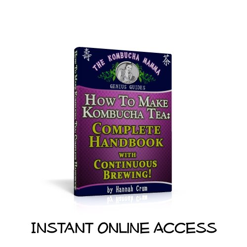 Organic Kombucha Mushroom Kit with 2 SCOBYs & Starter Liquid - Complete DIY Brewing Guide for Home Fermentation - Perfect for Healthy Gut & Probiotic Drinks