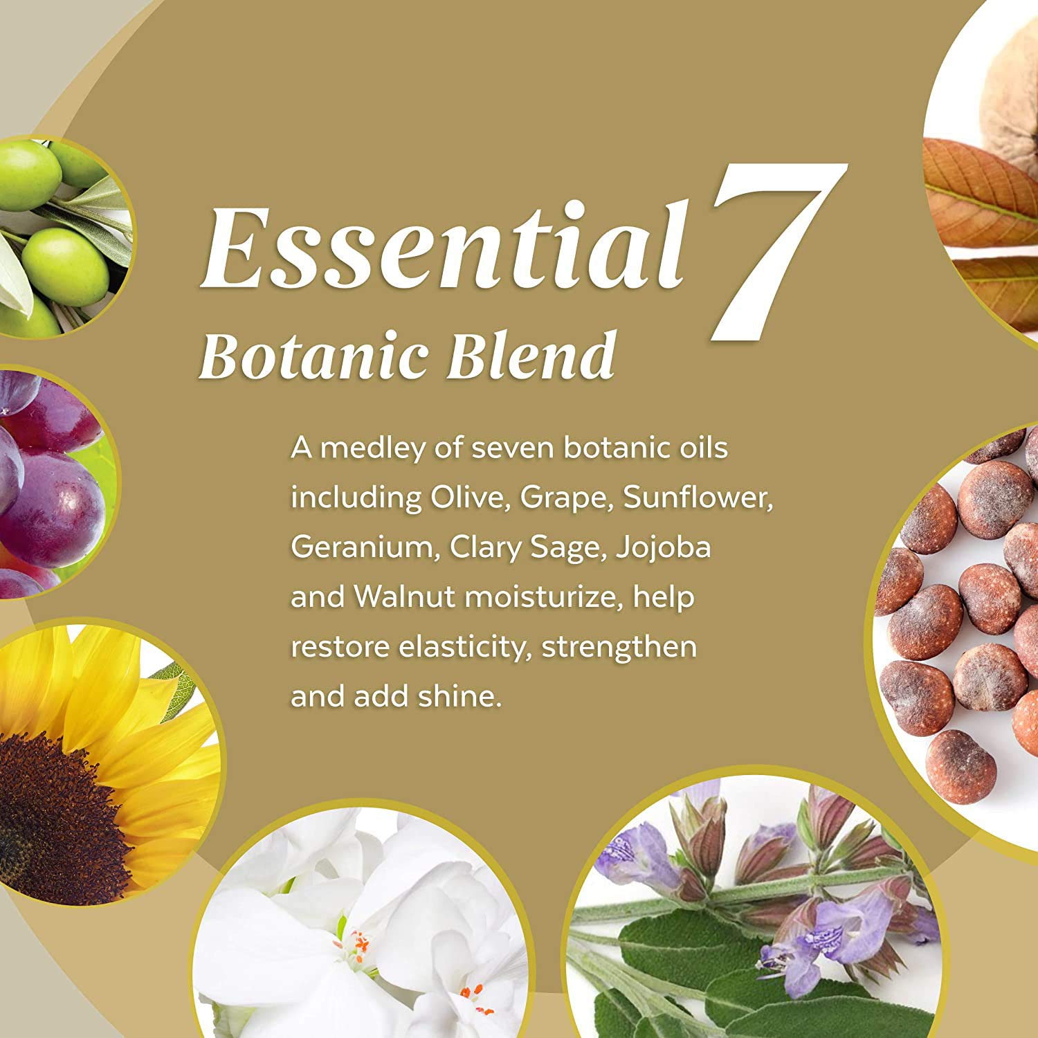 ALOXXI Essential 7 Botanic Blend Oil Cleansing Shampoo & Conditioner Set - 33.8 oz for Dry, Damaged Hair - Sulfate-Free, Nourishing Hair Care for Daily Use at Home or Salon