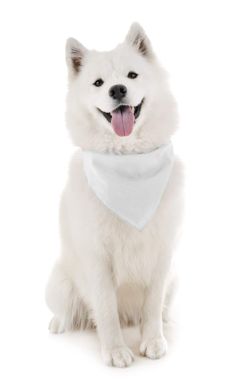 5-Pack Balec Dog Bandanas - Soft Cotton Triangle Scarves for Small & Medium Dogs - Perfect for Daily Walks, Grooming, and Pet Photos