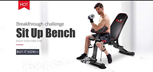 Adjustable Weight Bench for Home Gym - Multi-Function Preacher Curl Bench with Foldable Leg Extension & Curl Machine - 660LBS Weight Capacity - Perfect for Strength Training, Bodybuilding & Home Workouts