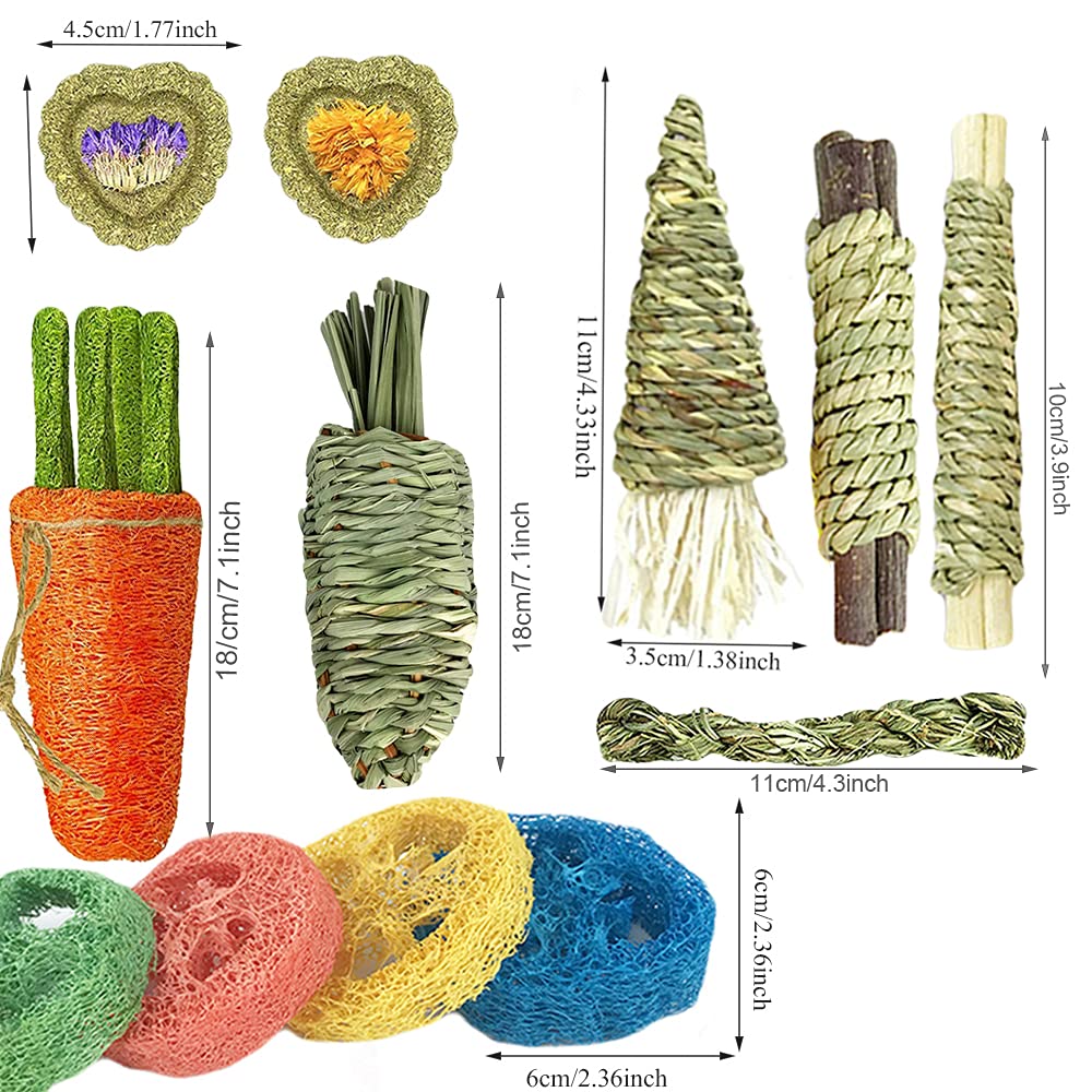 16 PCS Rabbit Chew Toys for Small Pets - Natural Loofah Carrot Dental Toys for Hamsters, Rabbits & Guinea Pigs | Promotes Teeth Health & Digestion | Perfect Small Animal Gifts for Cage Enrichment & Playtime