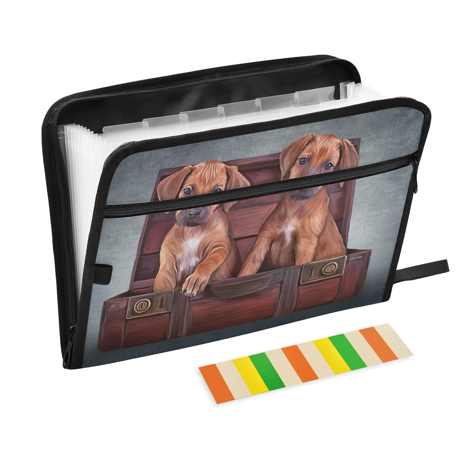 UMIRIKO 13-Pocket Expanding File Folder for Dogs - A4 Letter Size Accordion Organizer with Zipper Closure & Sticky Labels | Perfect for Pet Records, Vet Visits & Home Office Document Storage
