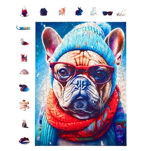 Gustav Grumpy Bulldog