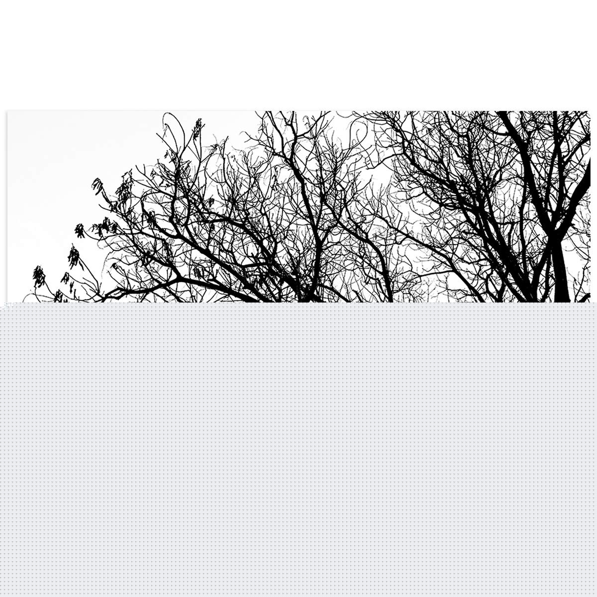Premium Aquarium Background Decor - Black & White Tree Pattern PVC Fish Tank Sticker Wallpaper | 36.4