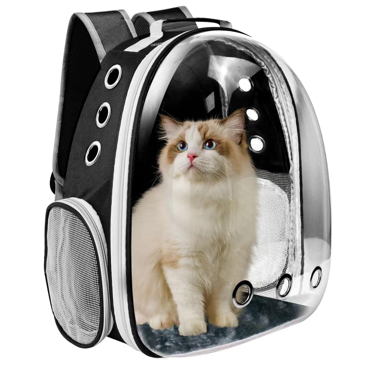 Ventilated Cat Backpack Carrier - Airline Approved Pet Travel Backpack for Small Dogs & Cats, Lightweight & Breathable Design for Hiking, Camping, Outdoor Adventures (Black) - Perfect for Travel, Vet Visits & Daily Commutes