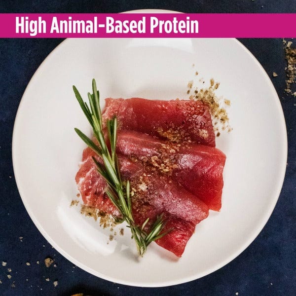 Nulo Freestyle Grain-Free Trout & Salmon Recipe Canned Cat Food - 5.5oz, High-Protein Wet Cat Food for Adult & Senior Cats - Perfect for Picky Eaters & Indoor Cats