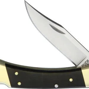 Buck Hunter Lockback Folding Knife - BU110 - High Carbon Steel Blade, Ergonomic Handle for Outdoor Camping, Hunting, and Survival Gear