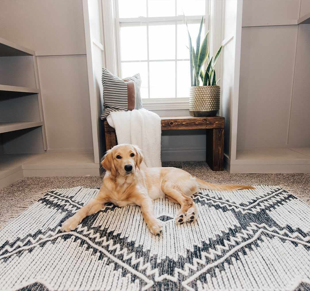 Bohemian Global Style Hauteloom Brownhills Area Rug 6' x 9' - Soft Black & Beige Handwoven Rug for Living Room & Bedroom - Perfect for Boho Chic Home Decor & Cozy Spaces