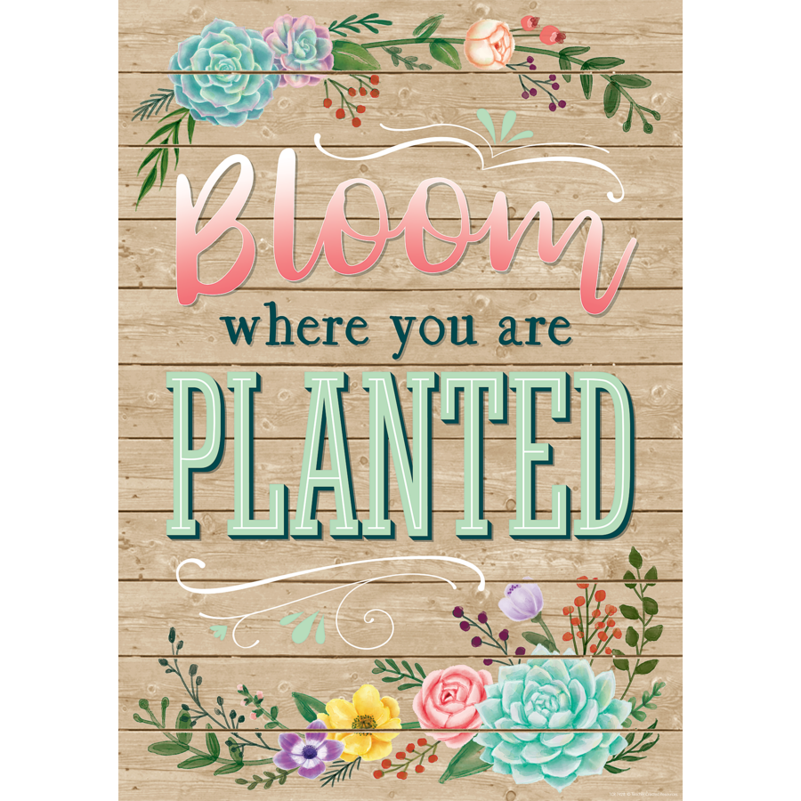 Bloom Where You Are Planted Motivational Wall Art - Inspirational Quote Poster for Home, Office & Classroom Decor - Positive Affirmation Print for Self-Improvement & Mindfulness