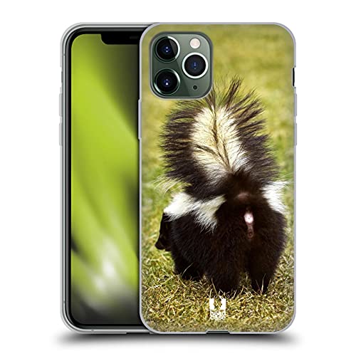 Striped Skunk