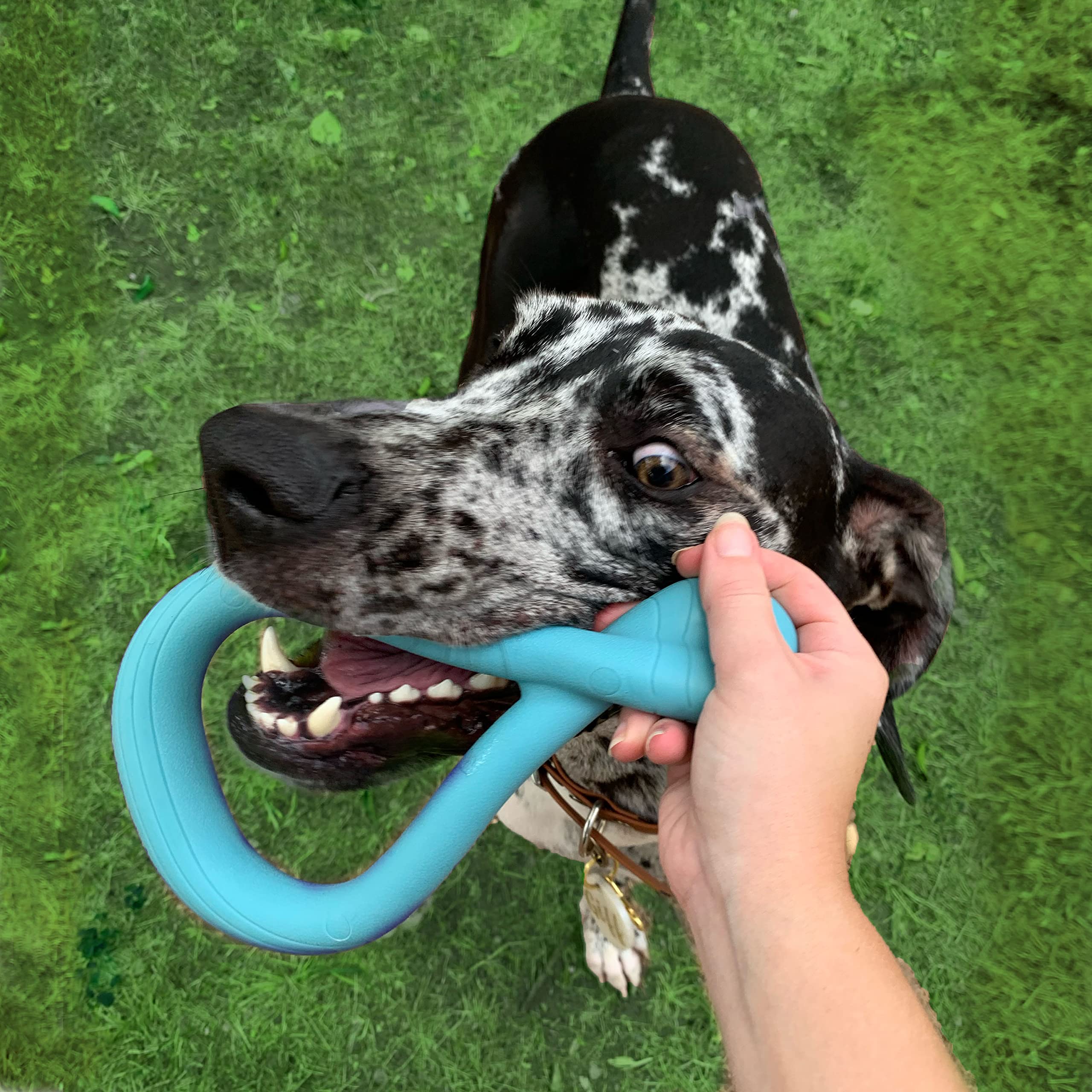 Nylabone Tuug Interactive Dog Toy - Durable Tug Toy for Play & Exercise - Firm Yet Flexible for Creative Play - Perfect for Indoor & Outdoor Fun - Great for Training & Bonding with Your Dog