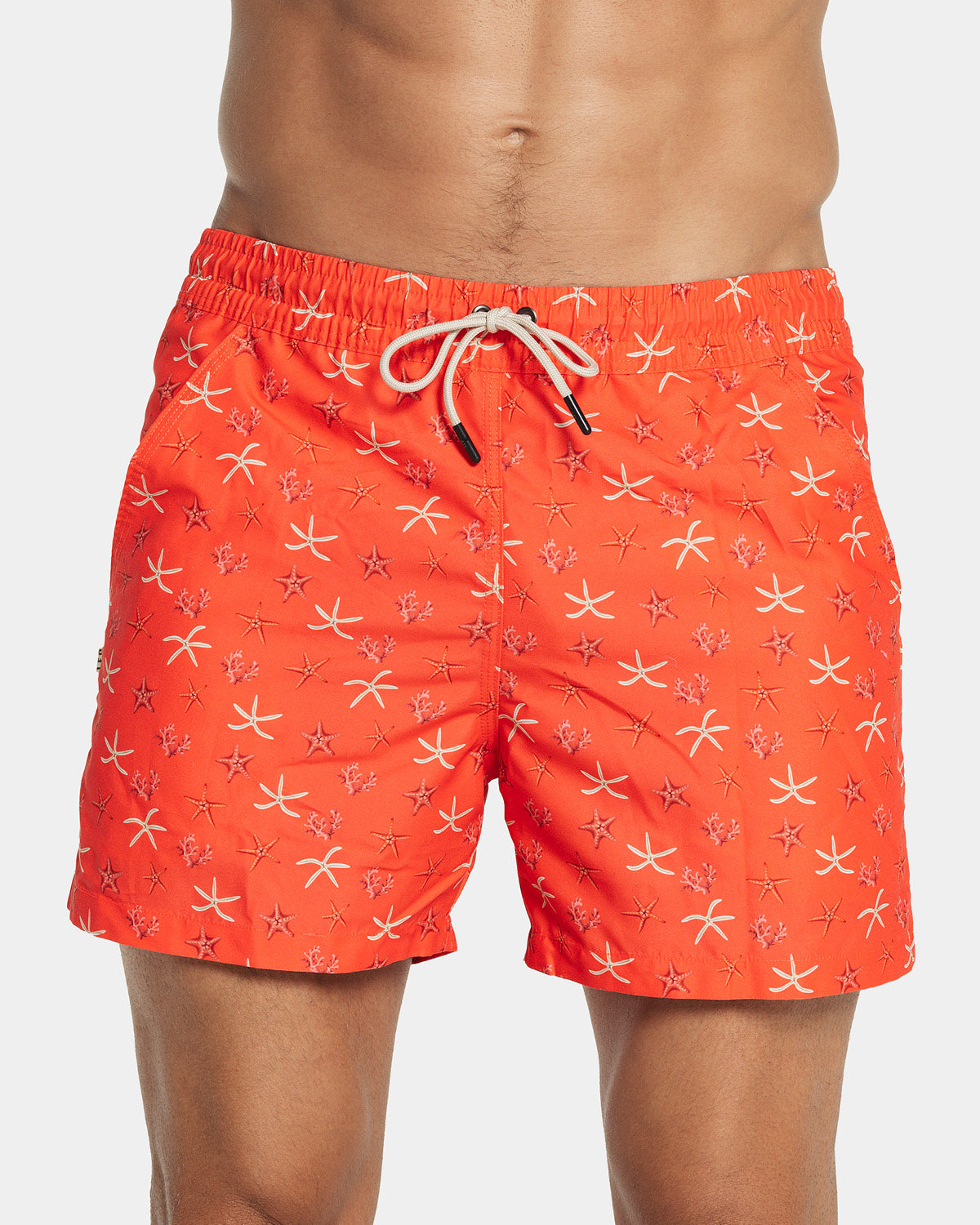 115 Starfish Print