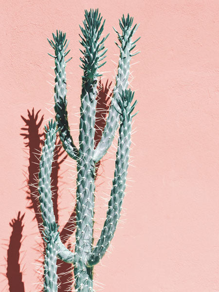Baja Unframed Art Print - Vibrant Wall Decor for Living Room, Bedroom & Office - Perfect for Home & Office Decor