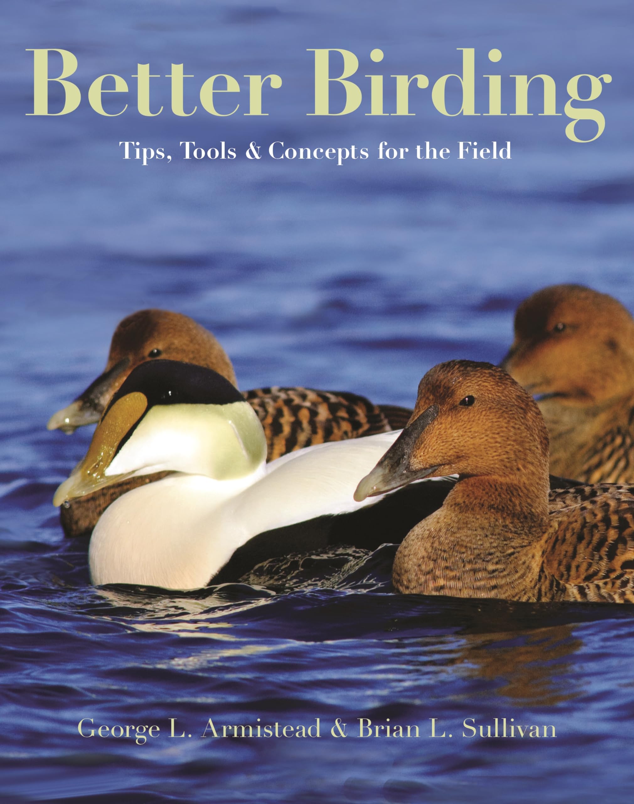 Better Birding Guide: Essential Tips, Tools & Field Concepts for Birdwatchers - Perfect for Hiking, Camping & Outdoor Adventures