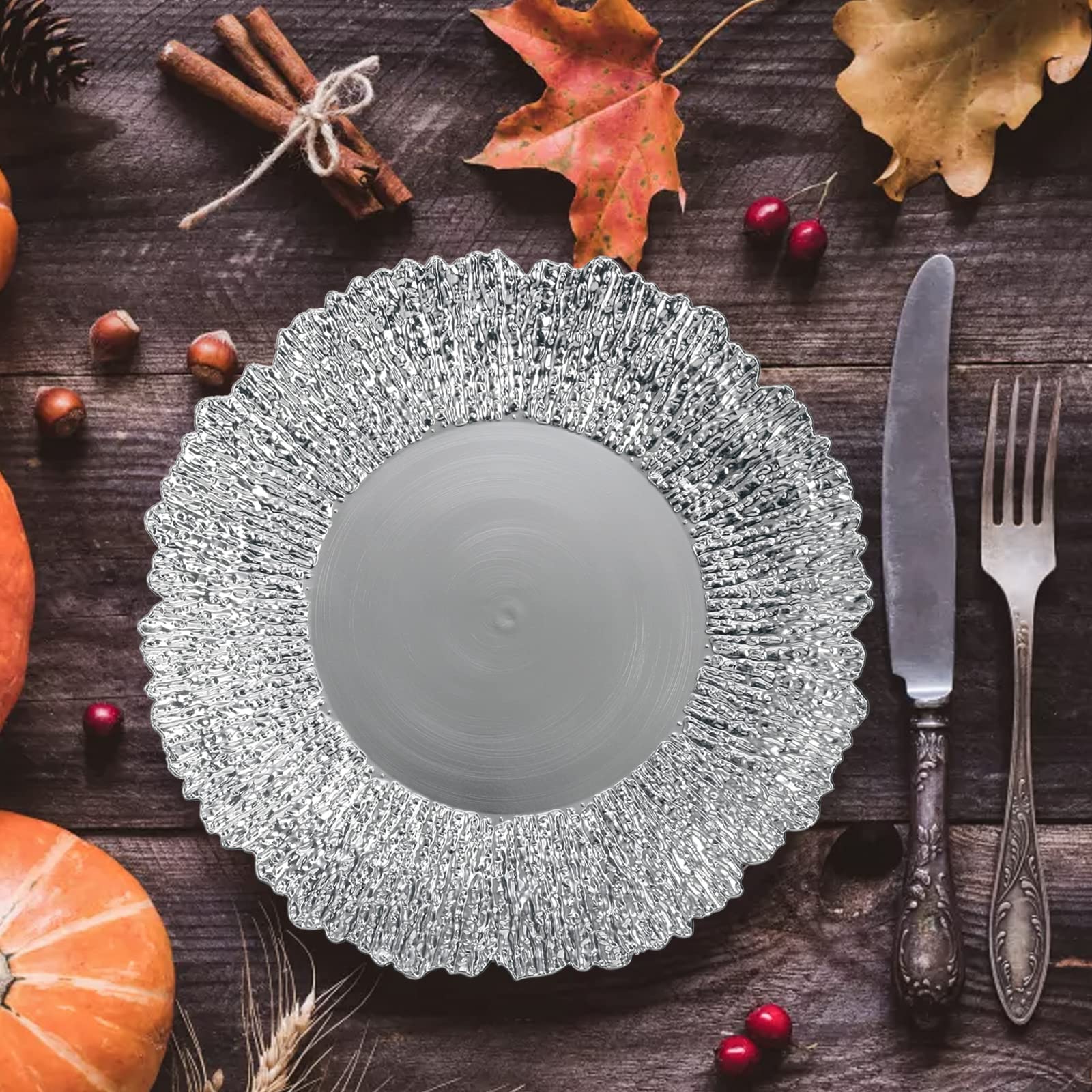 Coloch 12-Pack 13-Inch Silver Plastic Charger Plates – Reusable Round Shiny Decorative Serving Plates for Weddings, Parties, Catering & Restaurants | Elegant Dinnerware for Home Dining & Special Events