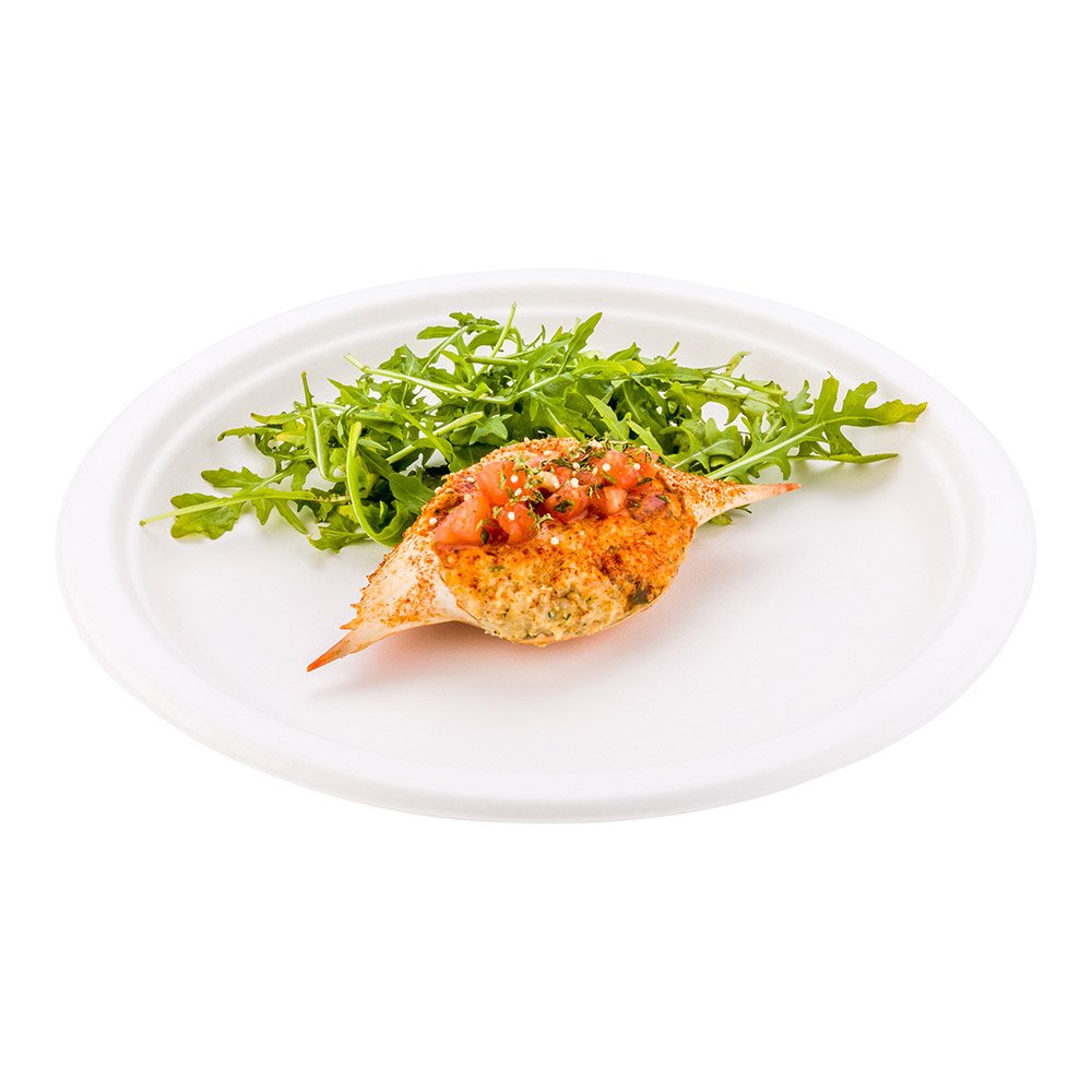 Eco-Friendly 10.3 Inch Disposable Dinner Plates - 100 Pack Heavy-Duty Bagasse Plates Made from Natural Sugarcane Fibers | Sturdy, Premium White Round Plates for Restaurants, Catering & Outdoor Events