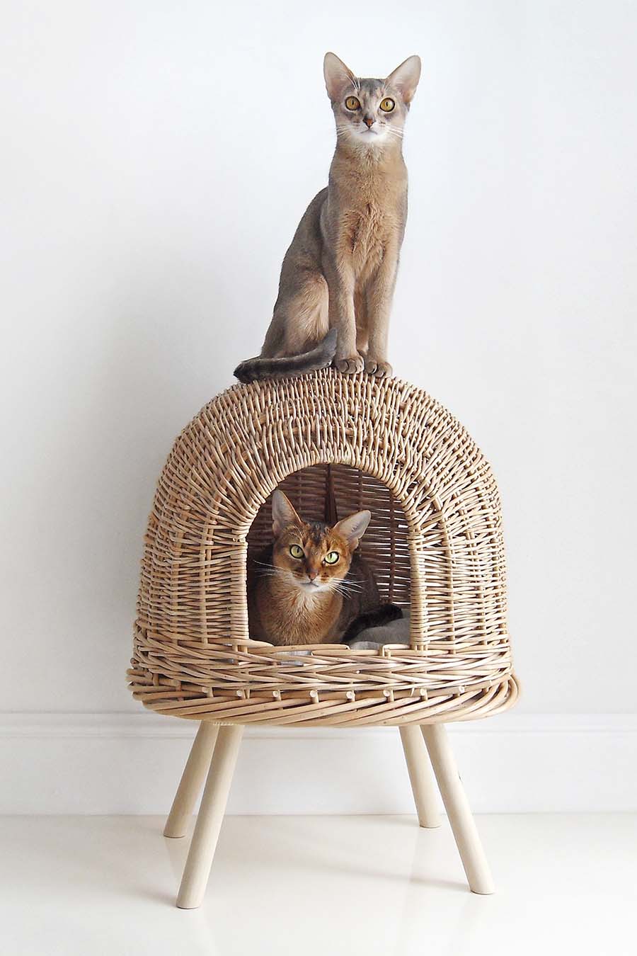 Cat House Pony UFOny - Cozy Pet Bed for Cats & Small Dogs - Indoor/Outdoor Kitty Hideaway with Cute UFO Design - Perfect for Living Room, Bedroom or Backyard