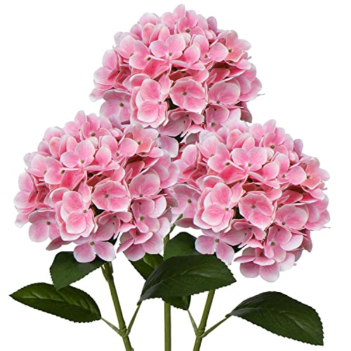 Light Pink #3