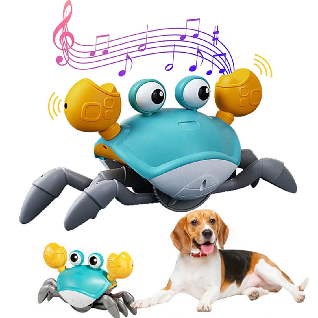 Interactive Dancing Crab Dog Toy with Music & Lights - Fun Chew Toy for Puppy, Small & Medium Dogs - Relieves Boredom & Anxiety - Perfect Pet Gift for Playtime & Training