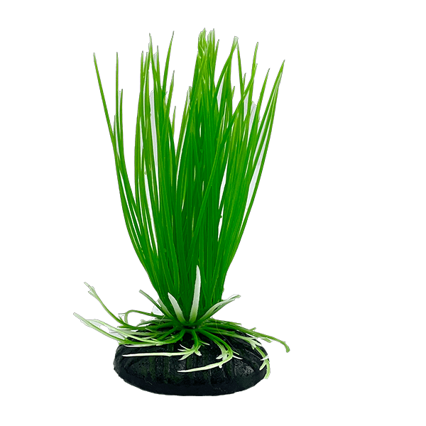 Premium Plastic Betta Fish Tank Plants - Set of 4 Realistic Hairgrass Decorations for Aquarium, Fish Bowl & Betta Habitat - Perfect for Aquatic Decor, Hiding Spots & Natural Tank Environment