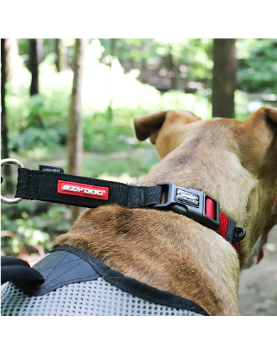 EzyDog Checkmate Camouflage Dog Collar - Adjustable & Durable (4 Sizes) for Medium to Large Dogs - Perfect for Hiking, Camping & Outdoor Adventures