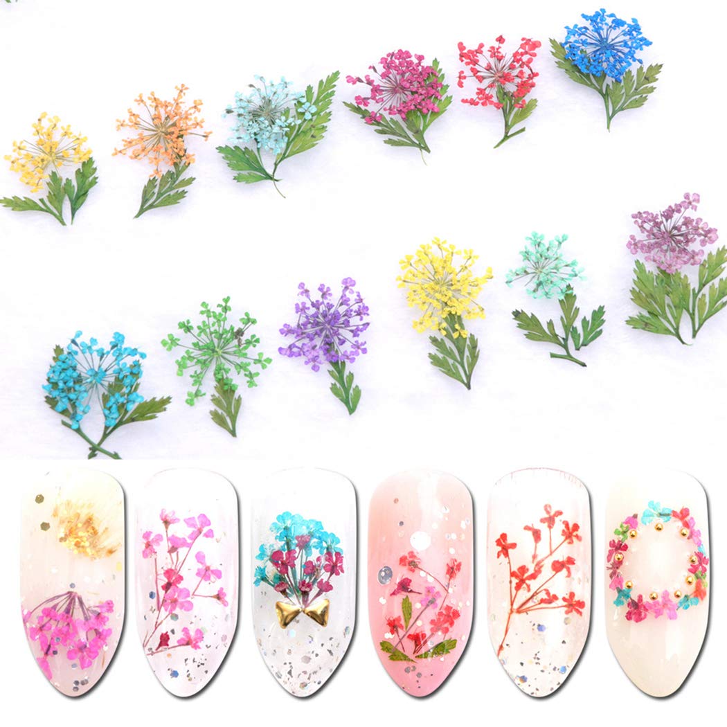 SOWUNO Dried Flower Nail Art Stones - 3D Nail Decorations & Jewel Accessories for DIY Manicure - Perfect for Wedding, Party, and Salon Nail Art Designs