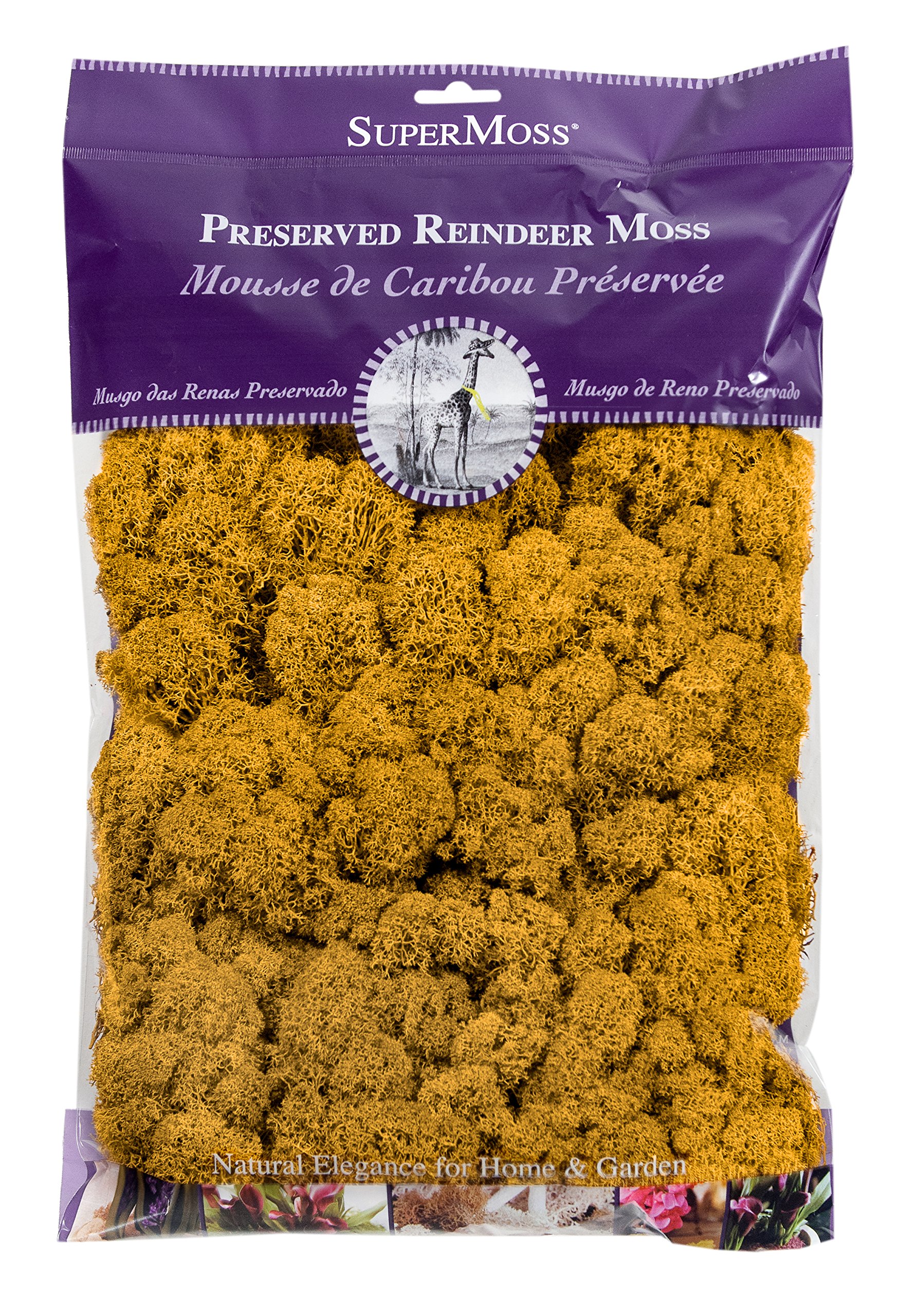 SuperMoss Preserved Reindeer Moss - 200 Cubic Inches (Approx. 8oz) Bag, Natural Mango Color | Perfect for Terrariums, Floral Arrangements & Home Decor