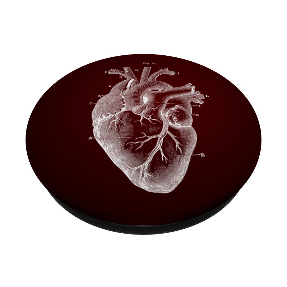 Heart Anatomy PopSockets PopGrip - Swappable Phone & Tablet Grip for Medical Professionals, Doctors, Nurses | Perfect for Cardiology Study, Hospital Work & Medical School