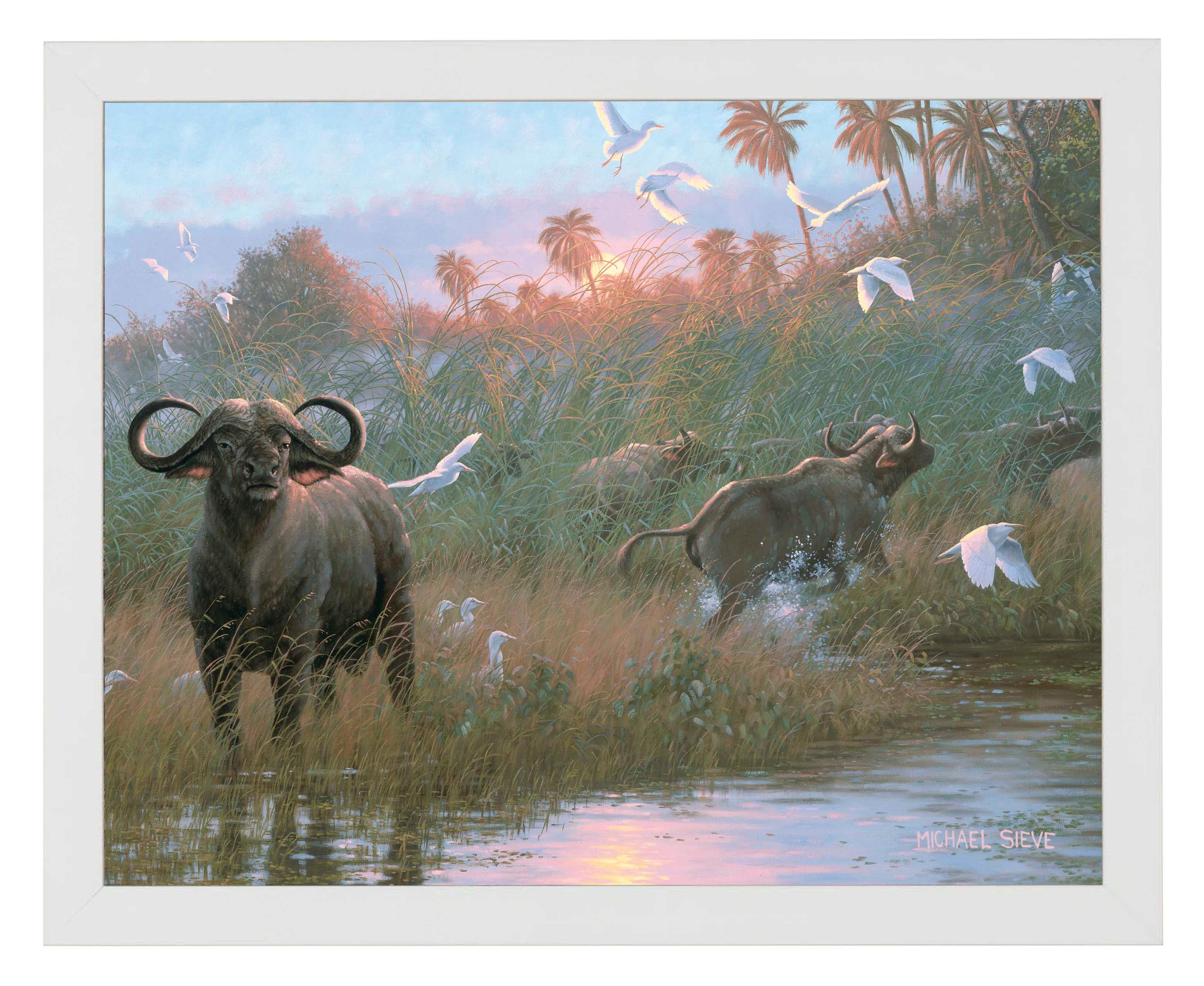 Premium Cape Buffalo Art Prints - High-Quality Wildlife Wall Decor for Home & Office | Perfect for Living Room, Bedroom & Office Spaces