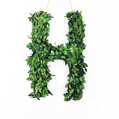 Green-h