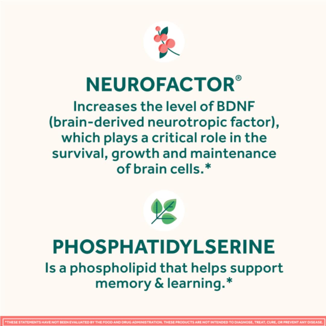 Neuriva Original Brain Health Support Strawberry Gummies - 50 Count (Pack of 3) with Phosphatidylserine & Decaffeinated Coffee Cherry - Clinically Proven Cognitive Supplement for Focus, Memory & Mental Clarity - Perfect for Students, Professionals & Daily Wellness