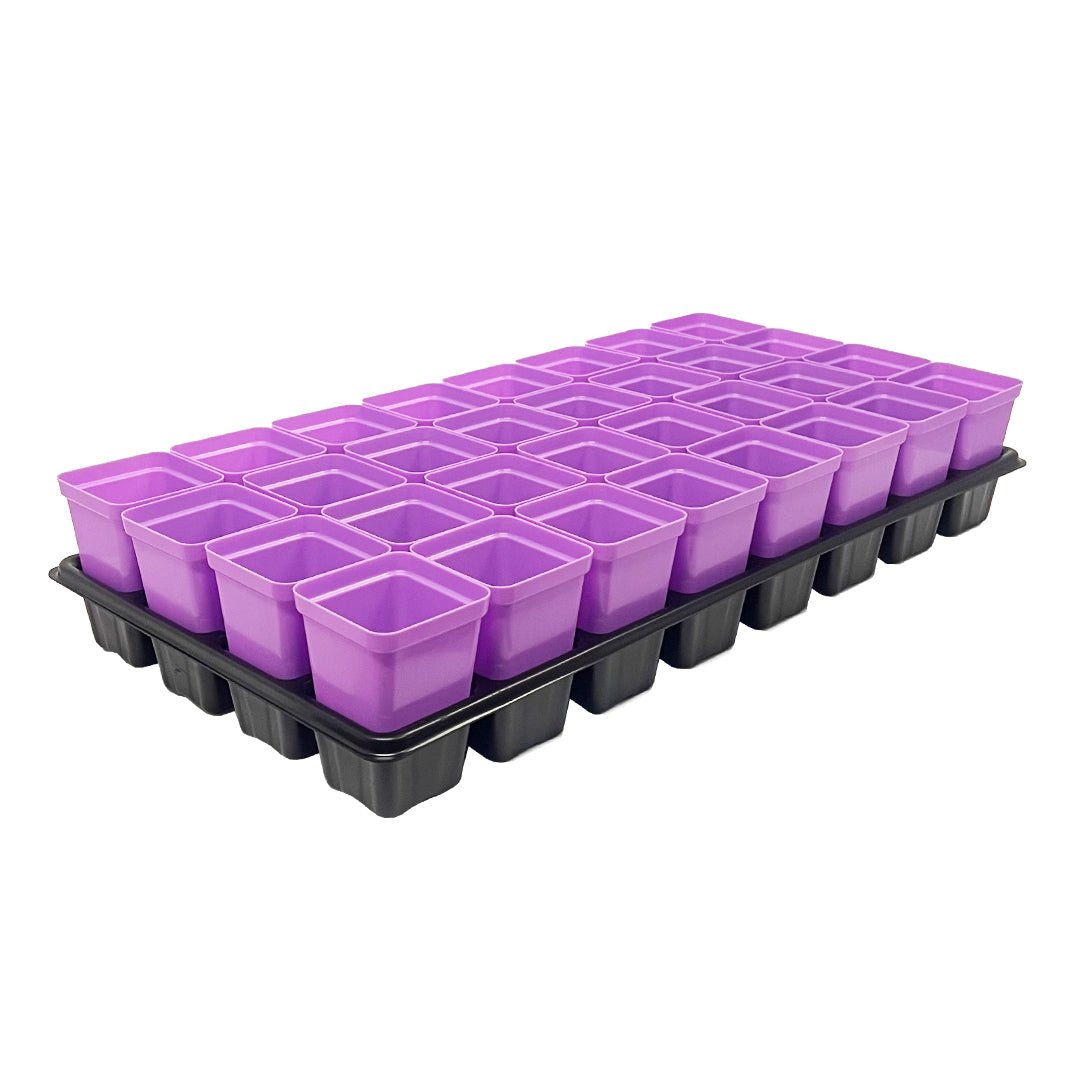 Bootstrap Farmer 2.5 Inch Heavy Duty Seed Starter Pots with Tray Insert - Perfect for Indoor Gardening, Seed Germination & Plant Propagation