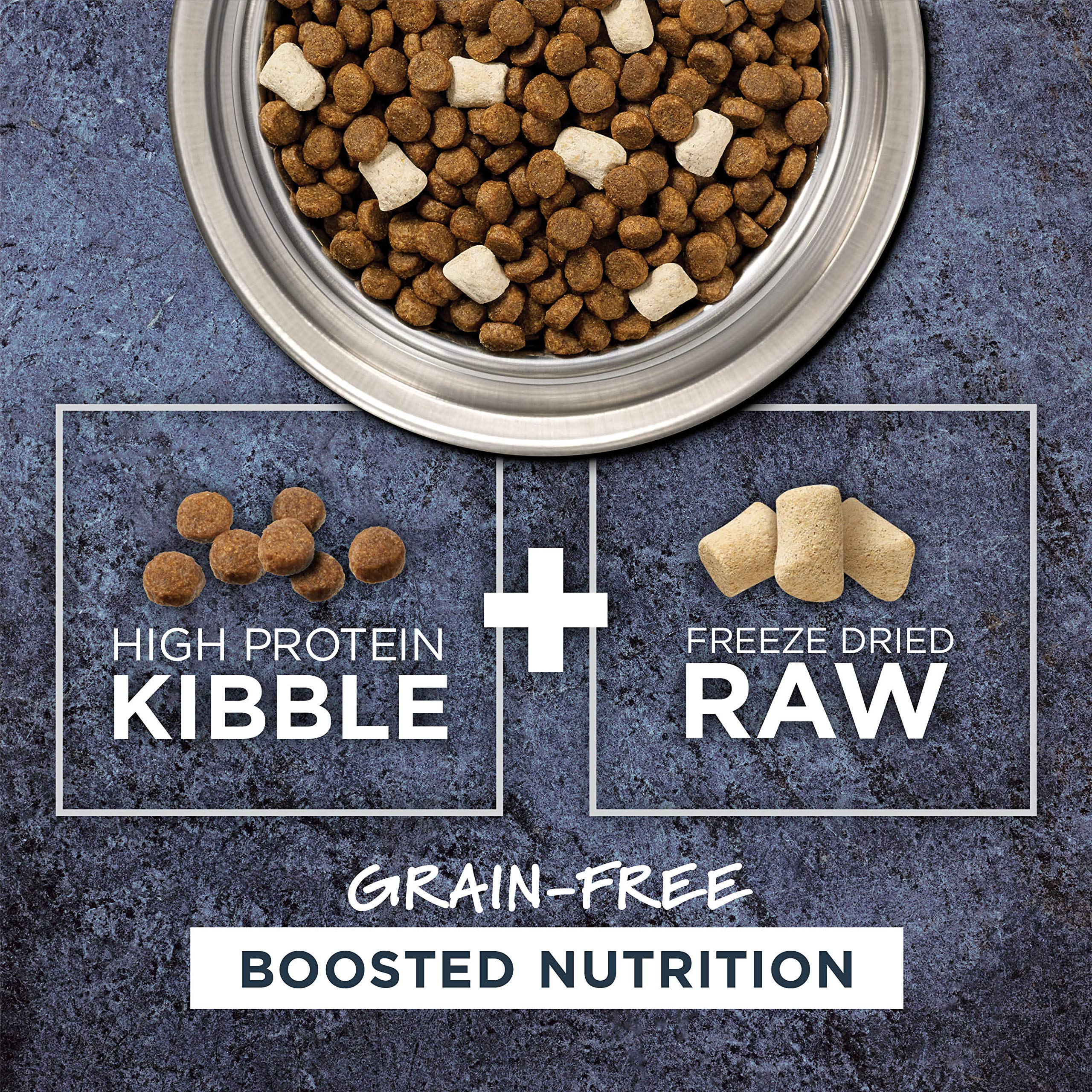 Instinct Raw Boost Natural Dry Dog Food with Freeze Dried Pieces - High Protein Grain Free Recipe, Real Salmon Flavor, 19 lb Bag - Perfect for Active Dogs & Puppy Nutrition