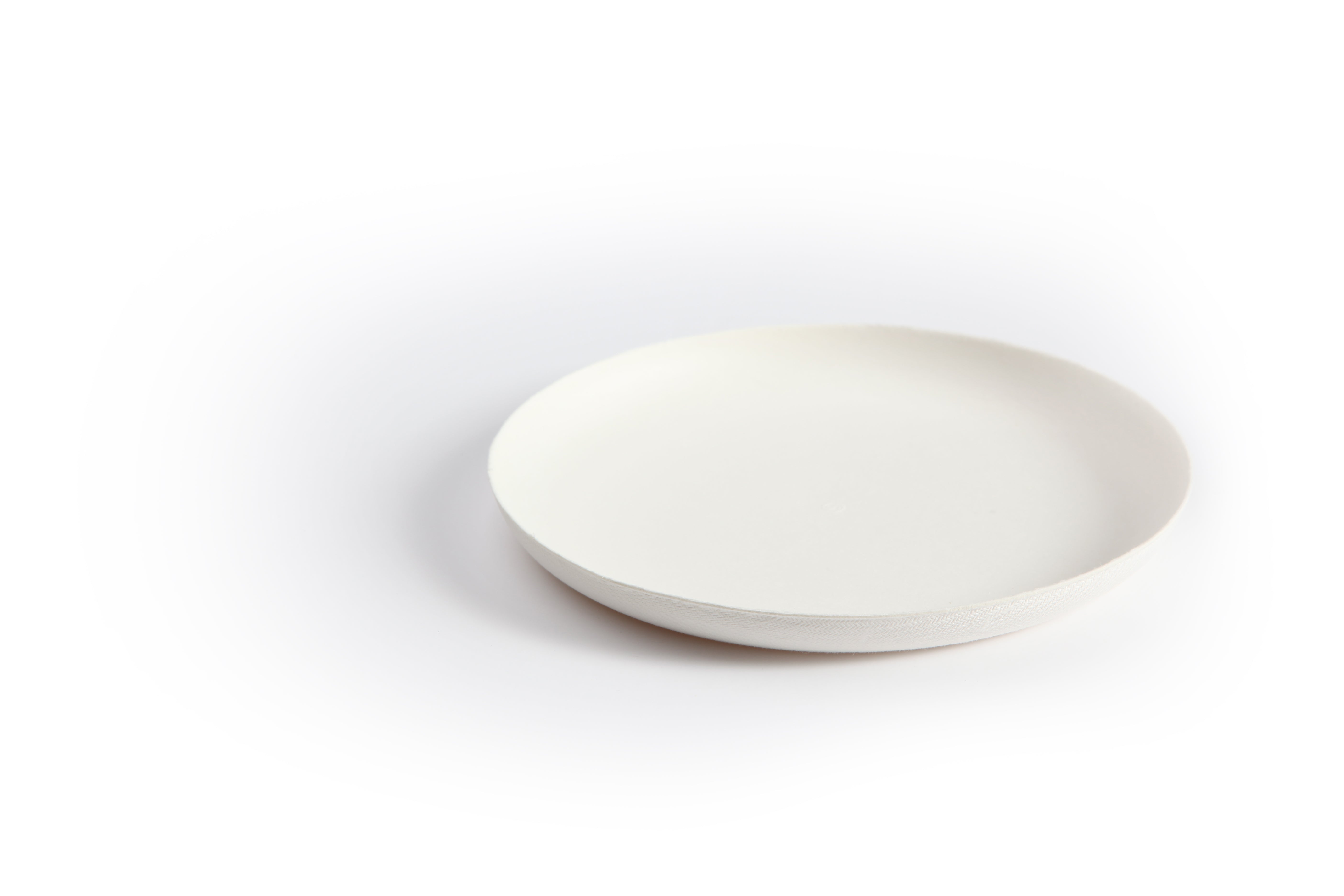 Bagastro 10-Inch Round Dinner Plates Set of 6 - Elegant Porcelain Plates for Dining, Desserts & Appetizers - Microwave & Dishwasher Safe - Perfect for Home, Restaurants & Party Serving