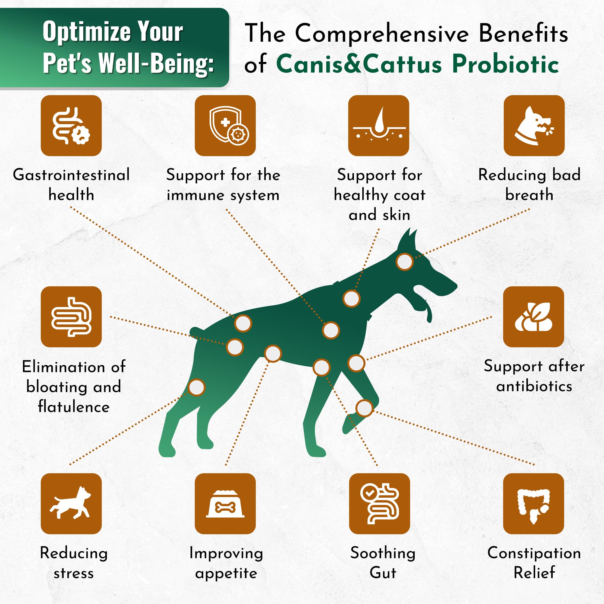 Organic Pet Probiotics for Cats & Dogs - Digestive Health Supplement (1 oz) | Supports Gut Health & Immunity - Ideal for Travel, Diet Changes & Daily Wellness