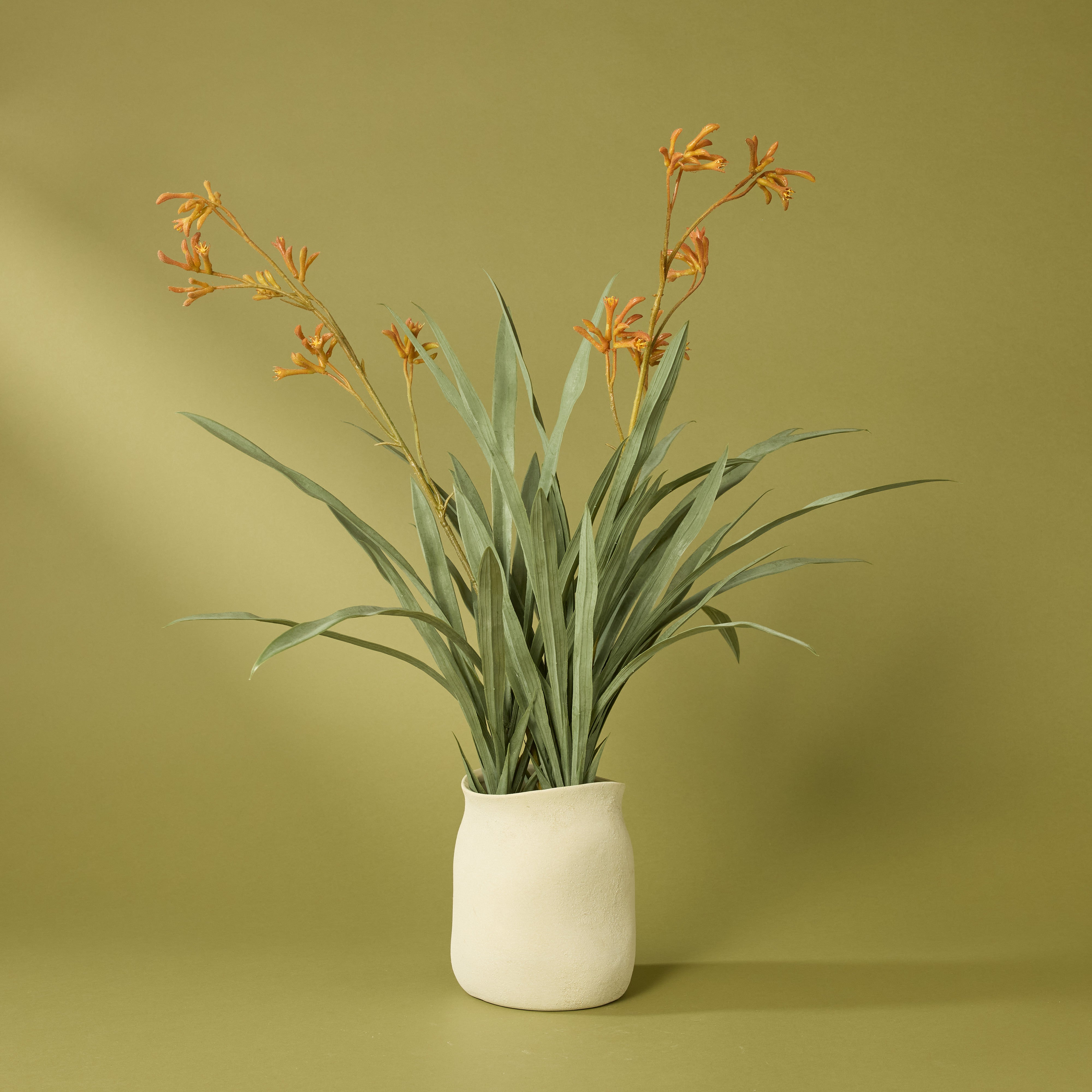 Premium Faux Kangaroo Paw Artificial Plant in Maliah Pot - 28.3