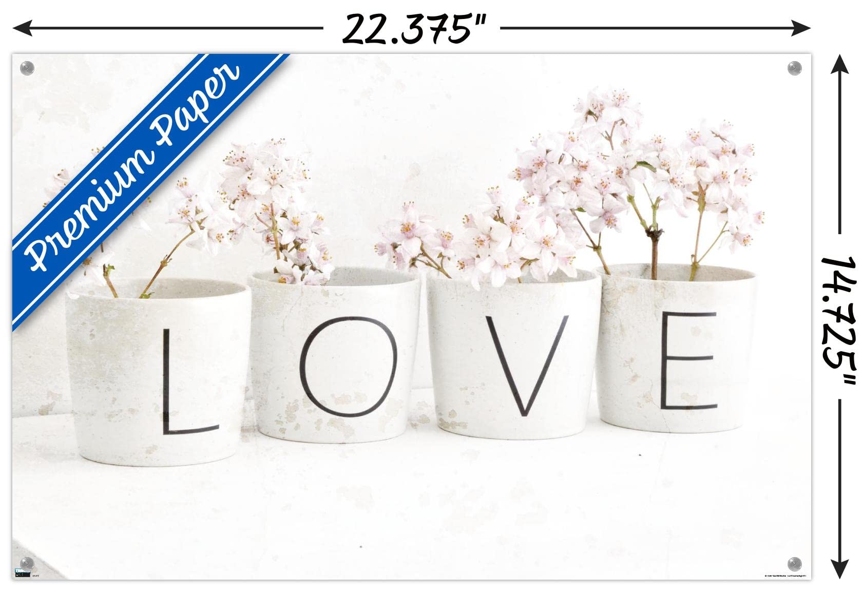 Trends International Tom Quartermaine Love Blossom in Cups Wall Poster - 24x36 Inch Framed Art Print with Push Pins - Perfect for Home Decor, Office & Dorm Room Aesthetic