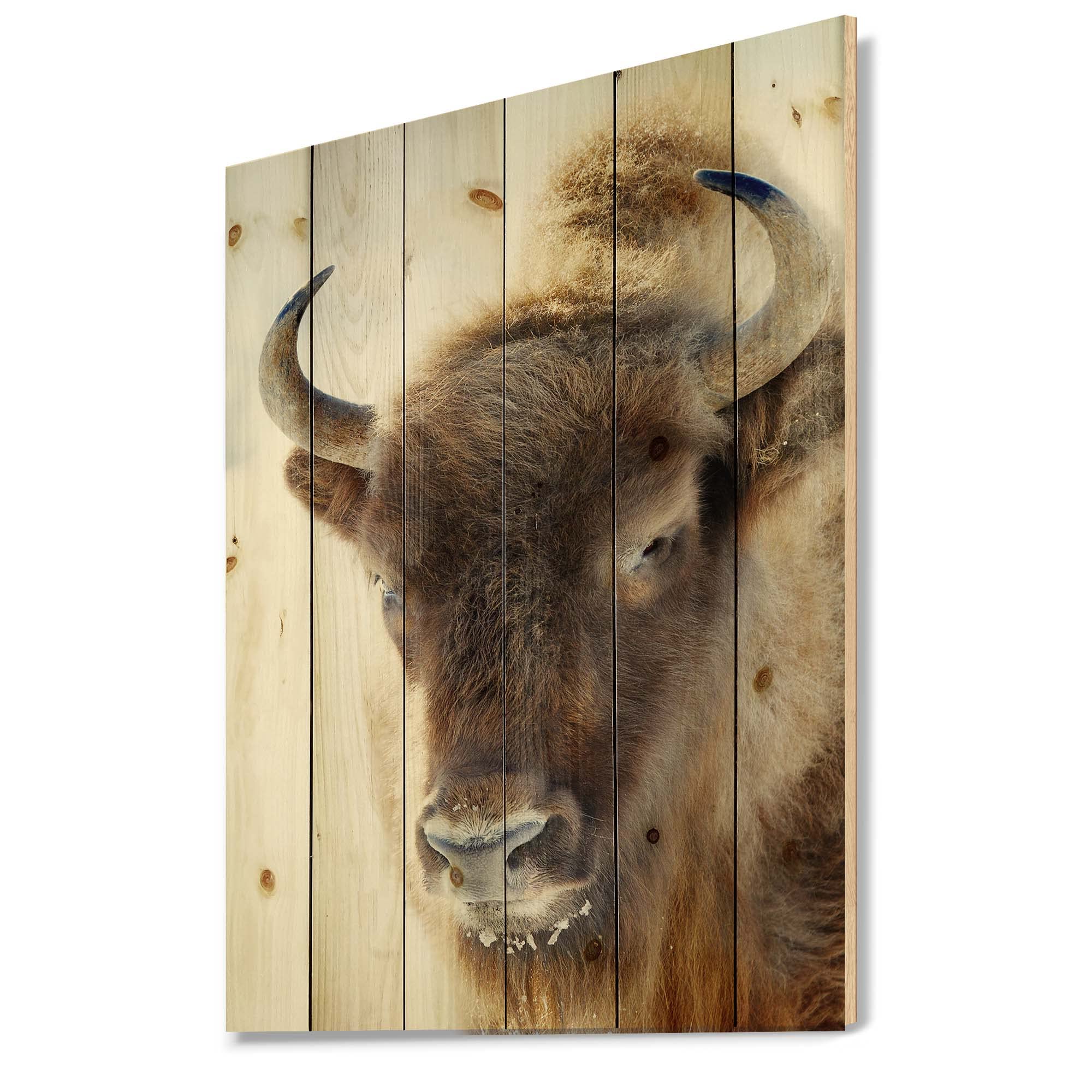 Farmhouse Wood Wall Decor - Wild Bison Portrait on Natural Pine Wood, Large Animal Wall Art Panel for Rustic Home & Cabin Decor | Perfect for Living Room, Bedroom, or Office
