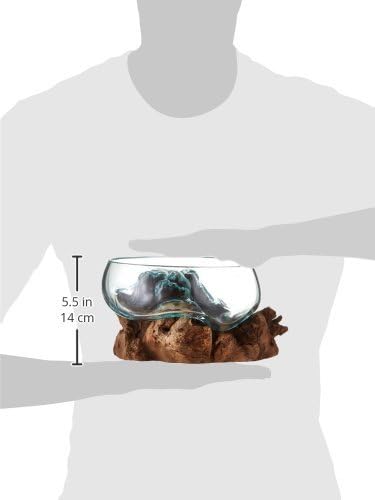 Cohasset Molten Glass Vase #658 - 8 Inch Wide Mouth Terrarium for Fairy Gardens, Home Decor - Handmade from Natural Wood & Recycled Glass - Perfect for Succulents, Candles, and Centerpieces