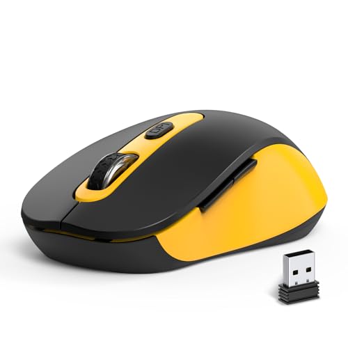 AT258-Yellow & Black