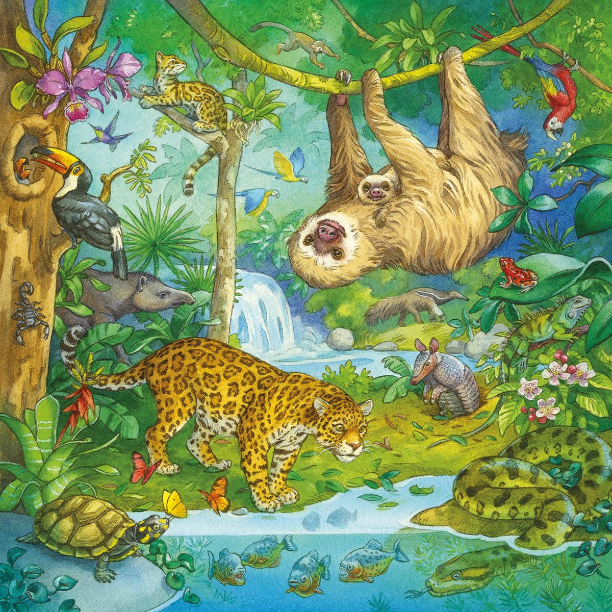 Ravensburger Jungle Fun Puzzle Set - 3x49 Piece Jigsaw Puzzles for Kids Ages 4-8 | Educational Screen-Free Activity to Improve Concentration & Focus | Perfect Birthday Gift for Boys & Girls | Great for Family Game Night & Preschool Learning