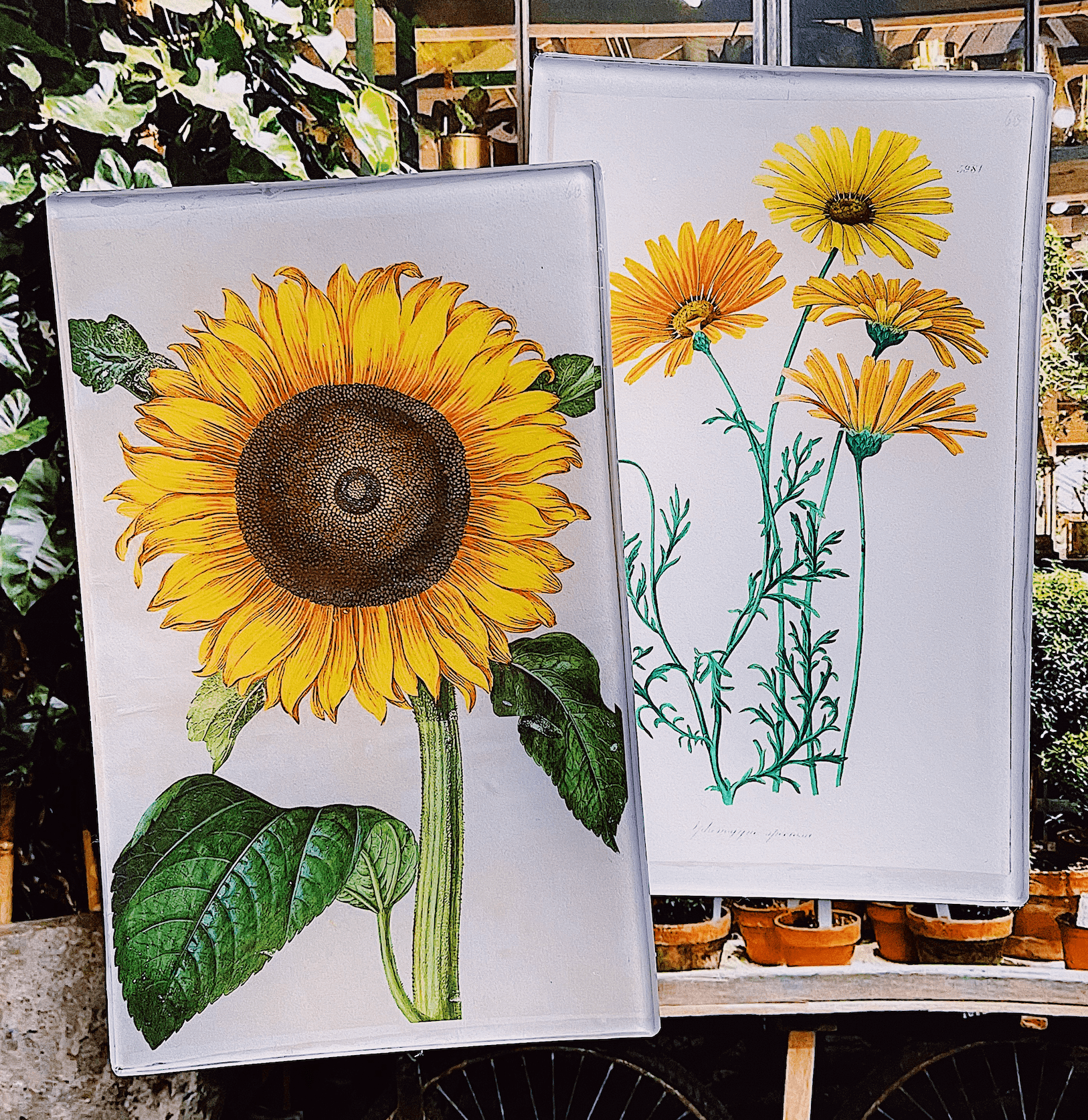 Sunflower Decoupage Glass Tray - Handmade Floral Serving Tray for Coffee, Tea, and Desserts - Perfect for Home Decor and Gift Giving
