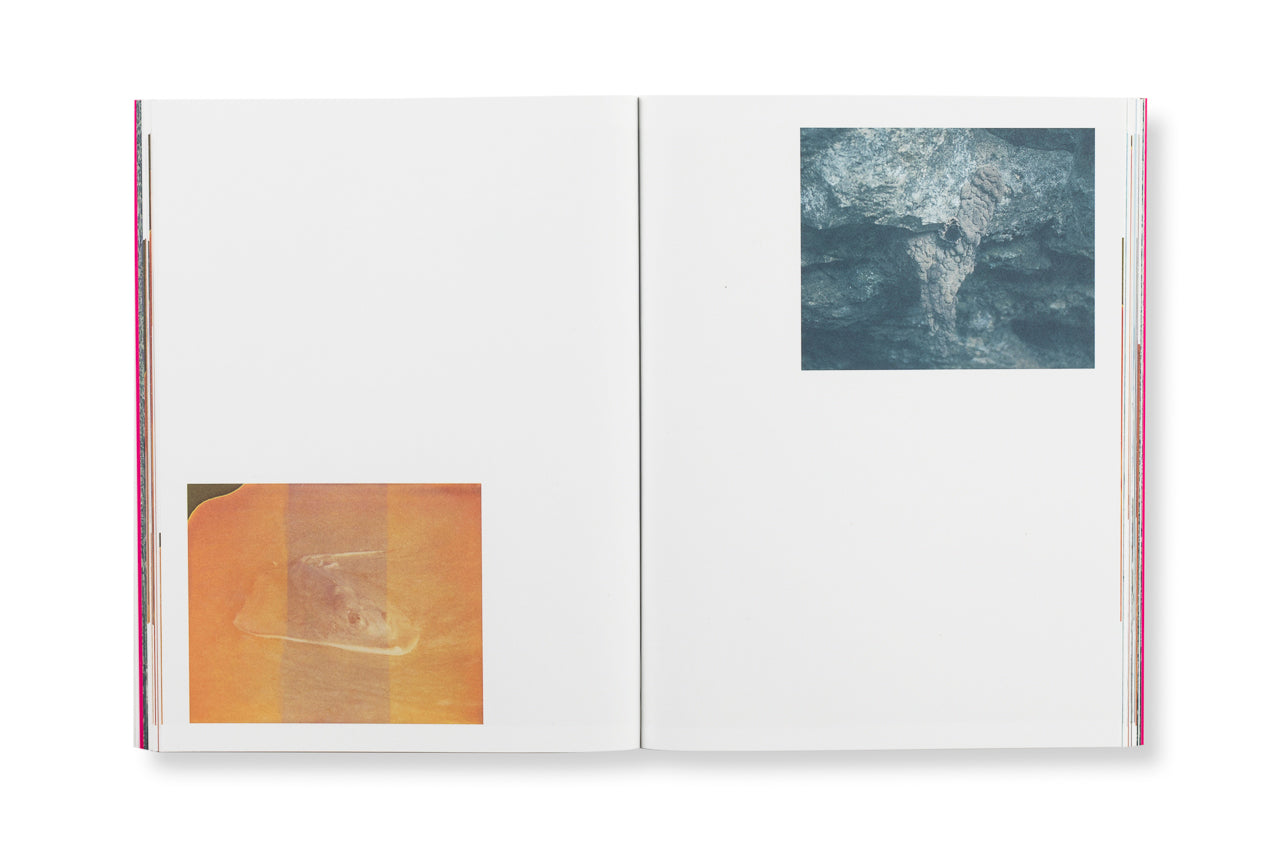 Jungle Check - Signed Photography Book by Cristina De Middel & Kalev Erickson | Art Collectors Edition | Perfect for Home Decor & Photography Enthusiasts