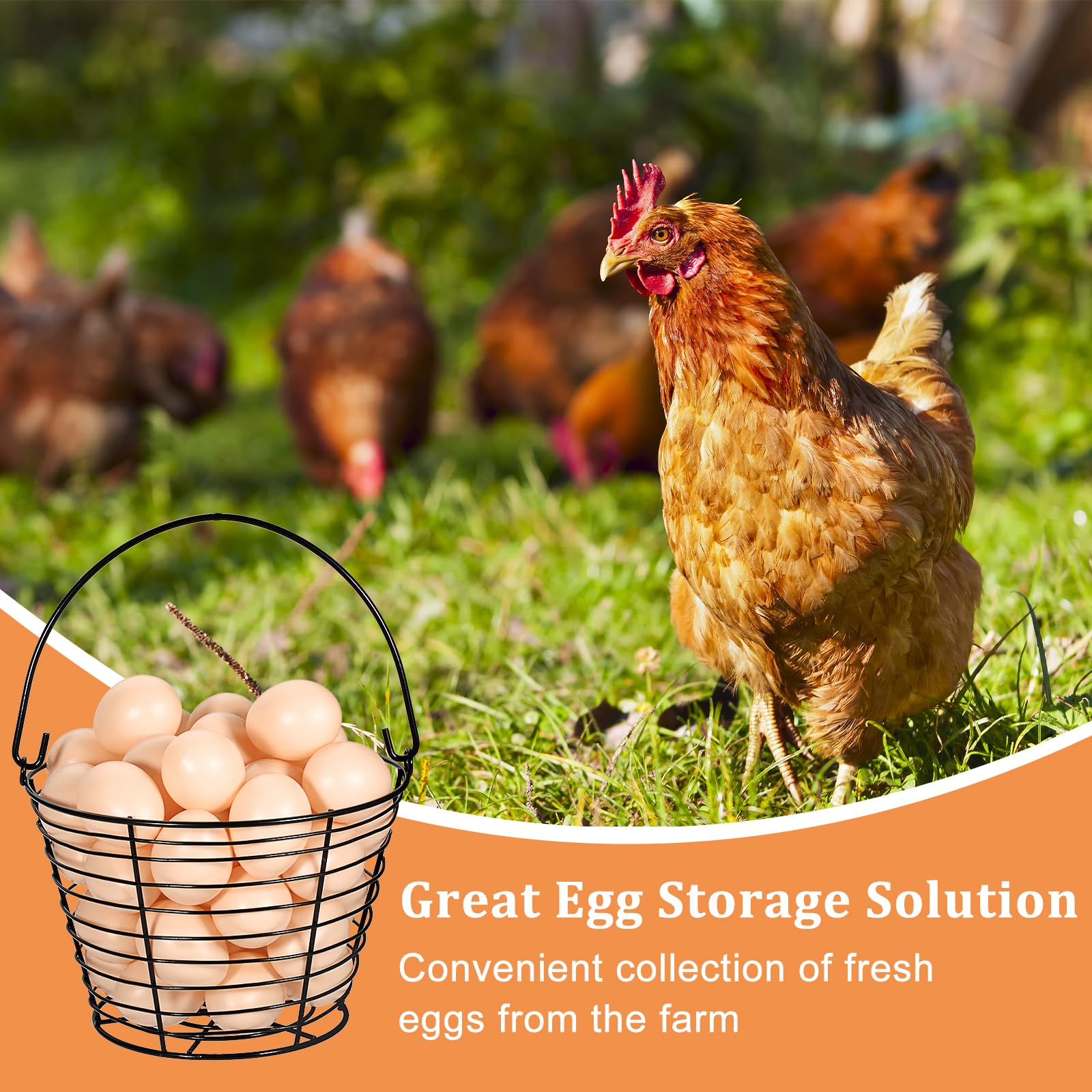 3-Pack 8-Inch Black Round Wire Egg Baskets with Handle - Small Metal Egg Collecting Basket for Chicken & Duck Eggs - Rustic Farmhouse Egg Holder for Kitchen Countertop, Farm, or Farmers Market Display