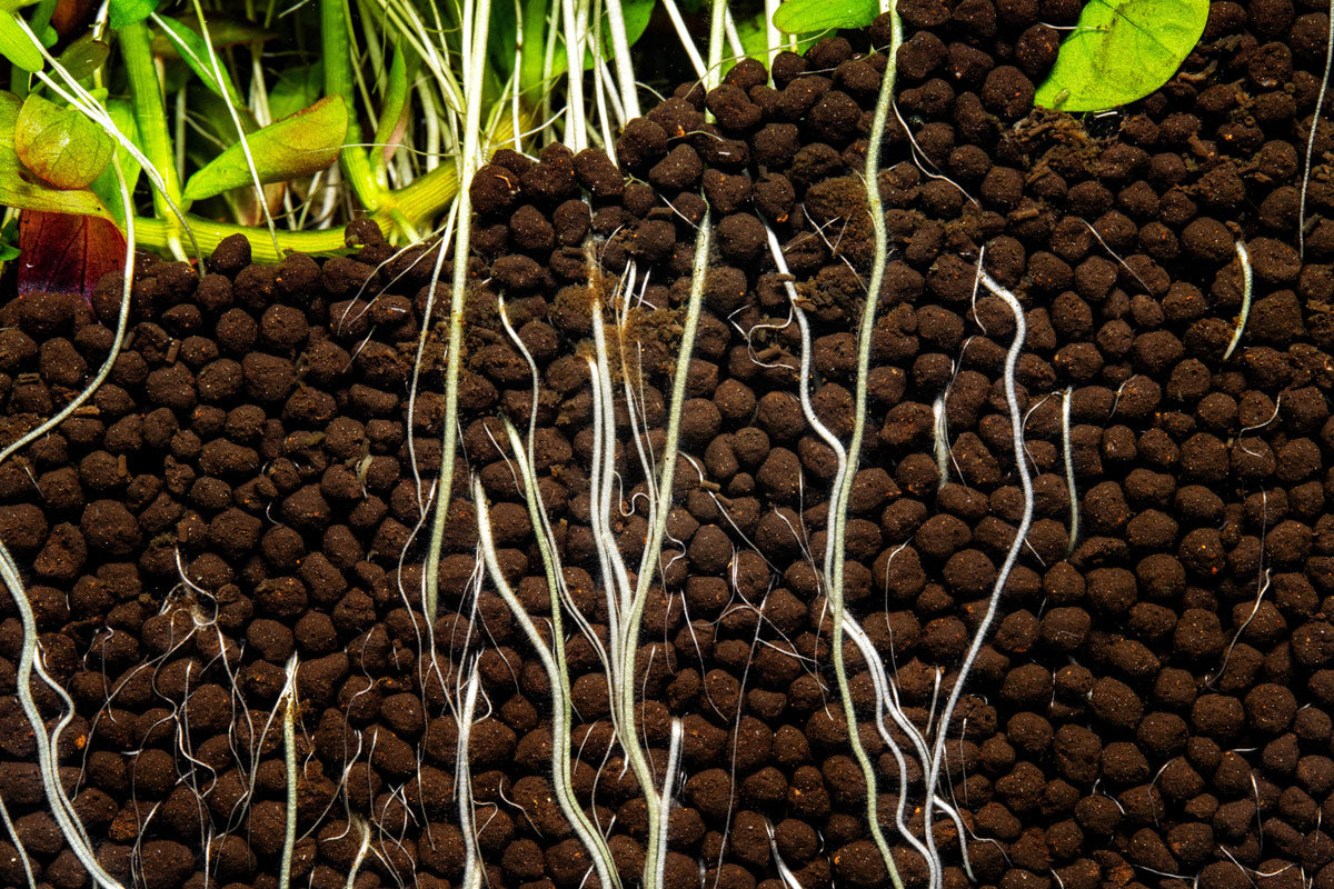 Ultum Nature Systems Controbase - Premium Aquarium Stand for Planted Tanks & Nano Aquascapes | Perfect for Home, Office & Aquatic Hobbyists