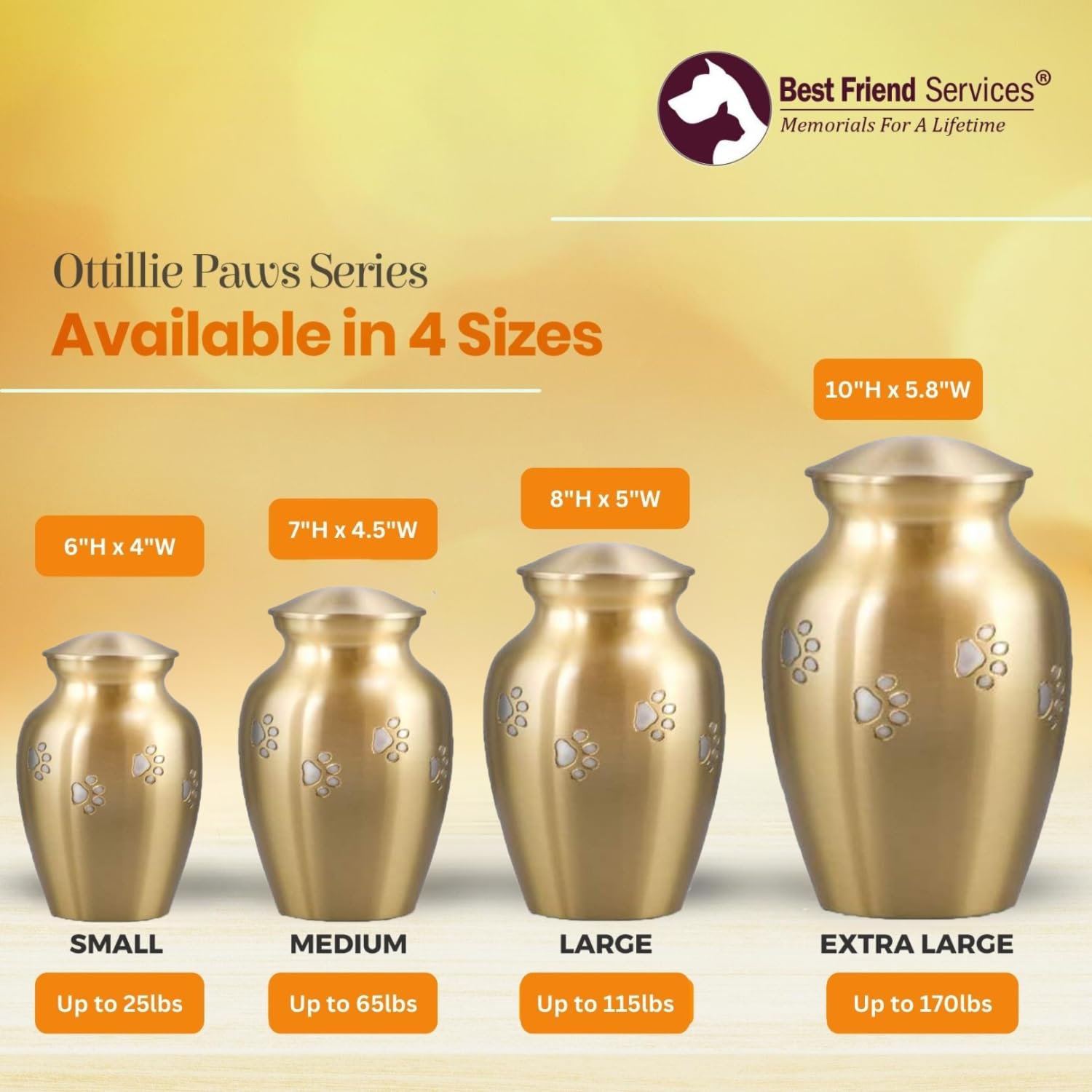 Hand Carved Brass Pet Urn for Dogs & Cats Ashes - Ottillie Paws Legacy Memorial Keepsake Urn (Horizontal Paws, Medium) - Perfect for Home Display & Memorial Services