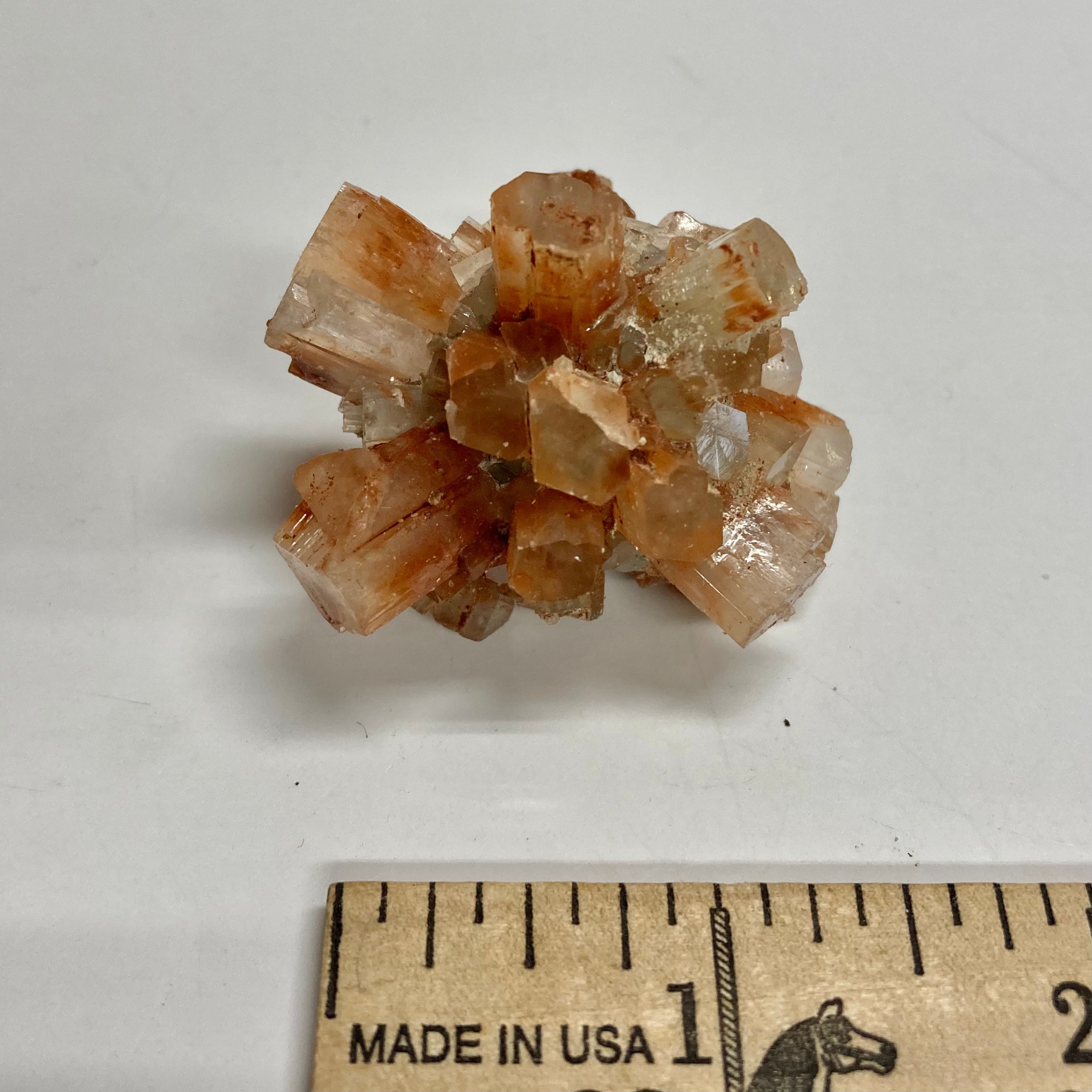 Premium Aragonite Sand - Natural Calcium Carbonate for Aquariums, Reef Tanks & Marine Ecosystems | Ideal for Water Filtration, pH Balancing & Coral Growth