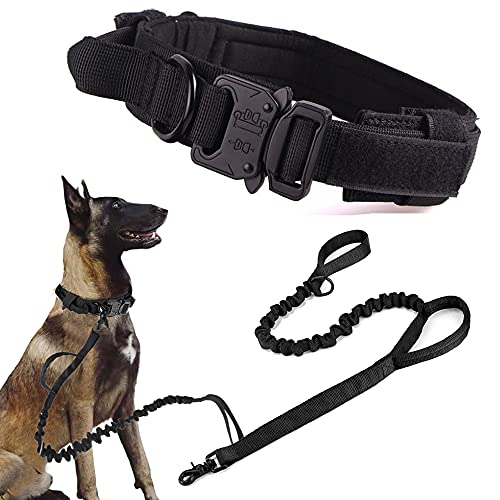 Black SET(collar+leash)