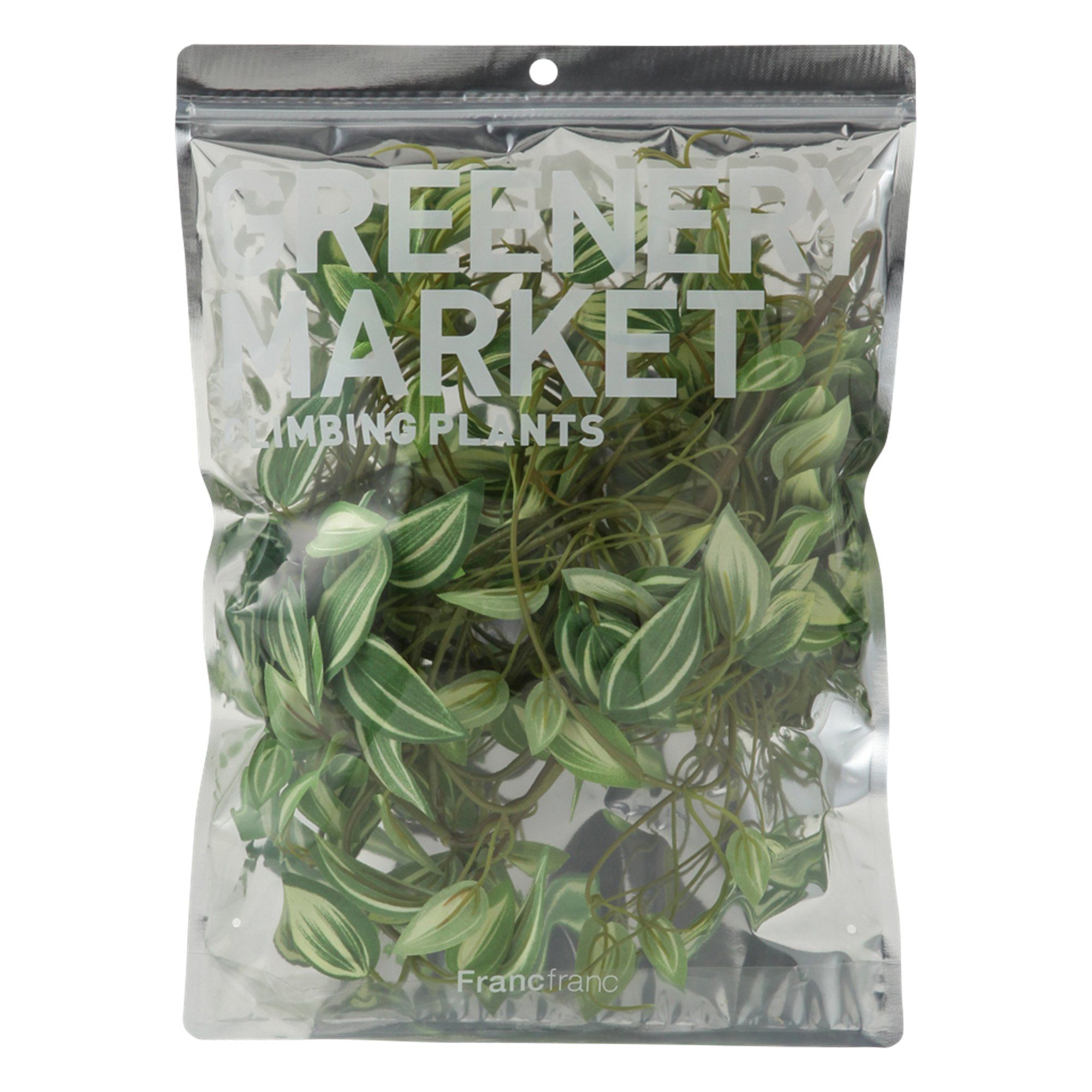Pothos Green Climbing Plants - Low Maintenance Indoor Hanging Plants for Home & Office Decor